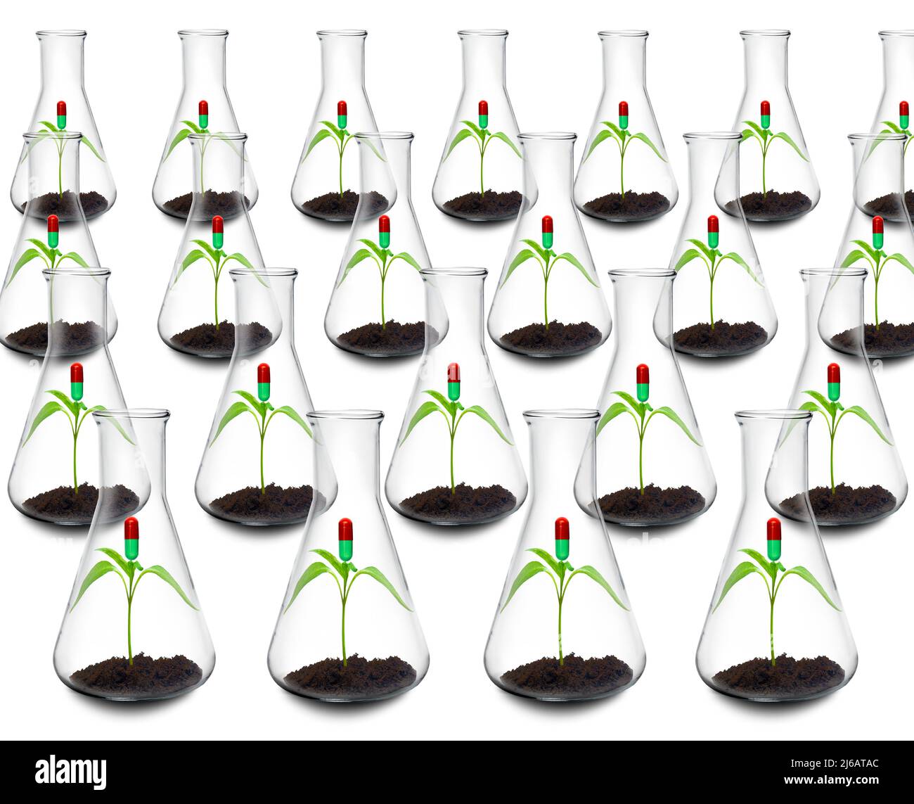 Botanische Forschung für neue Medikamente, konzeptuelles Bild Stockfoto