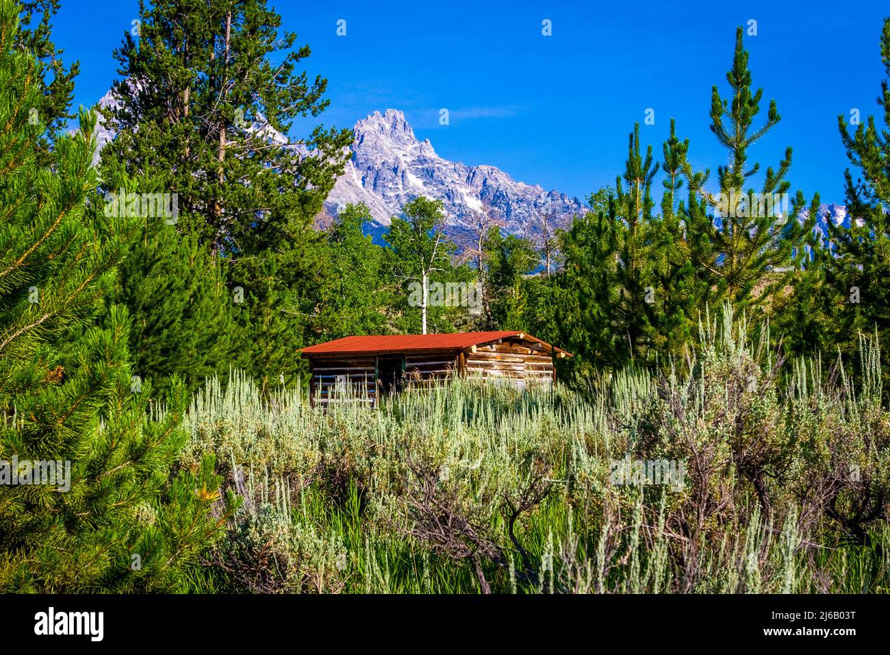 Blockhütte im Wald vor den Grand Teton Mountains. Stockfoto