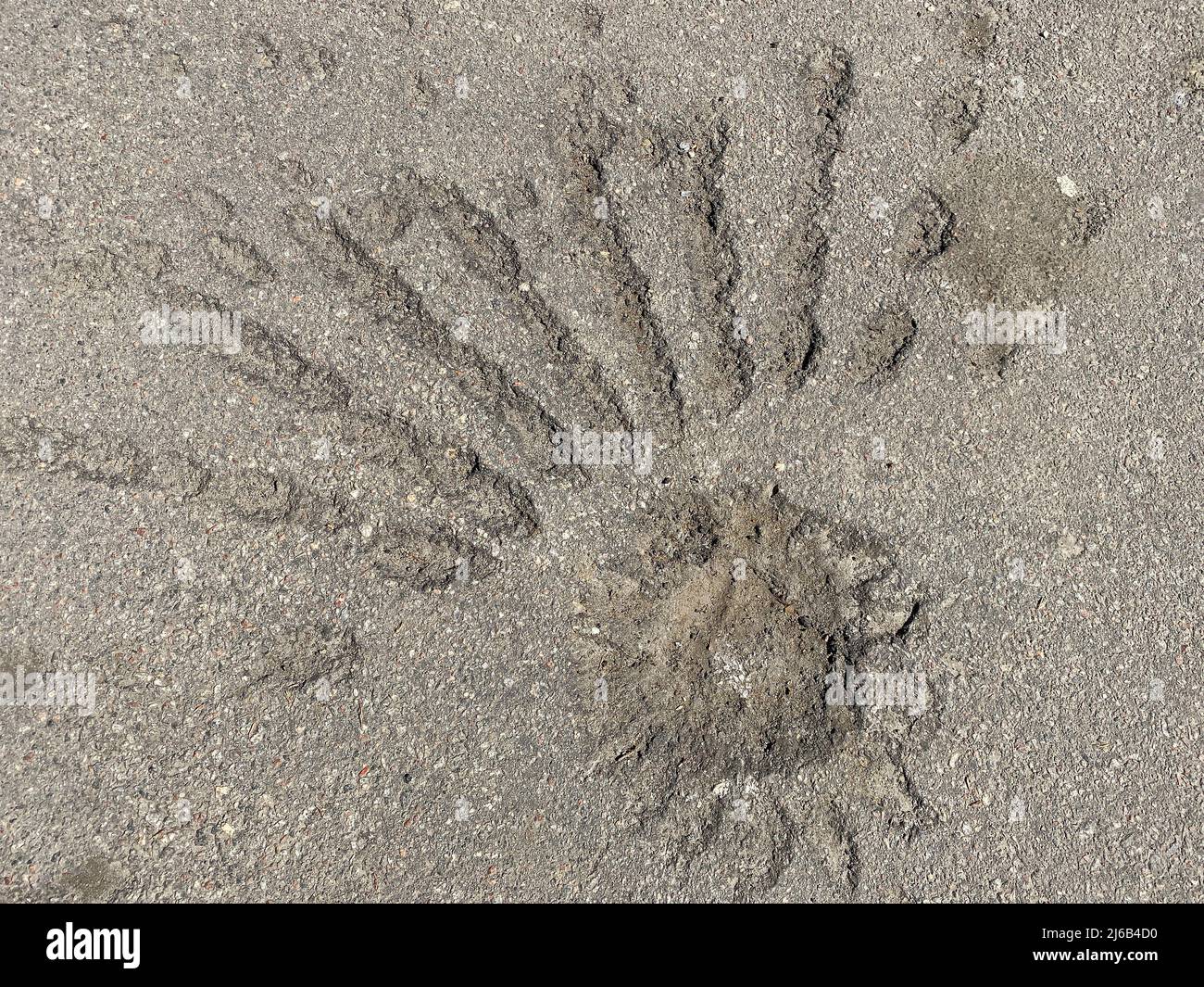 Spur auf Asphalt, verursacht durch verbotene Explosion der Kassettenbomben Stockfoto