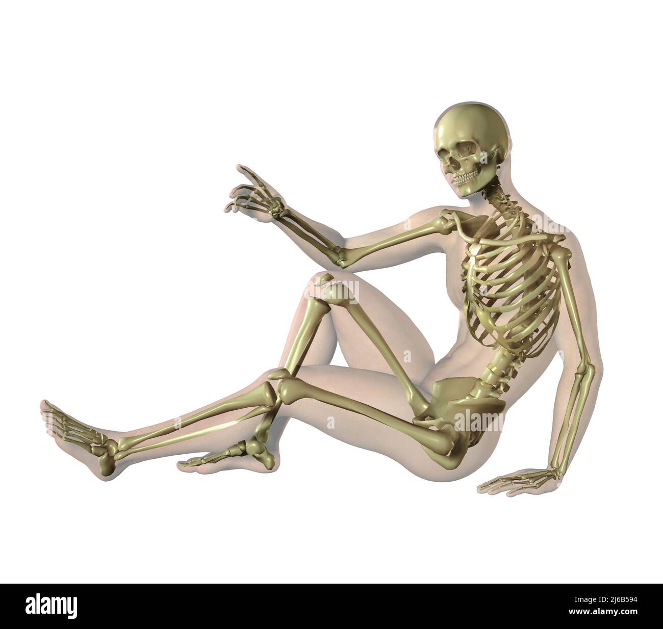 Männlicher Körper mit Skelett in Transparenz, 3D Abbildung Stockfoto