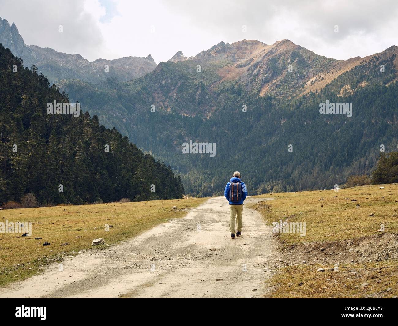 Rückansicht des asiatischen Wanderreisenden Rucksacktouristen, der auf einer unbefestigten Straße in Richtung Berge und Wald geht Stockfoto