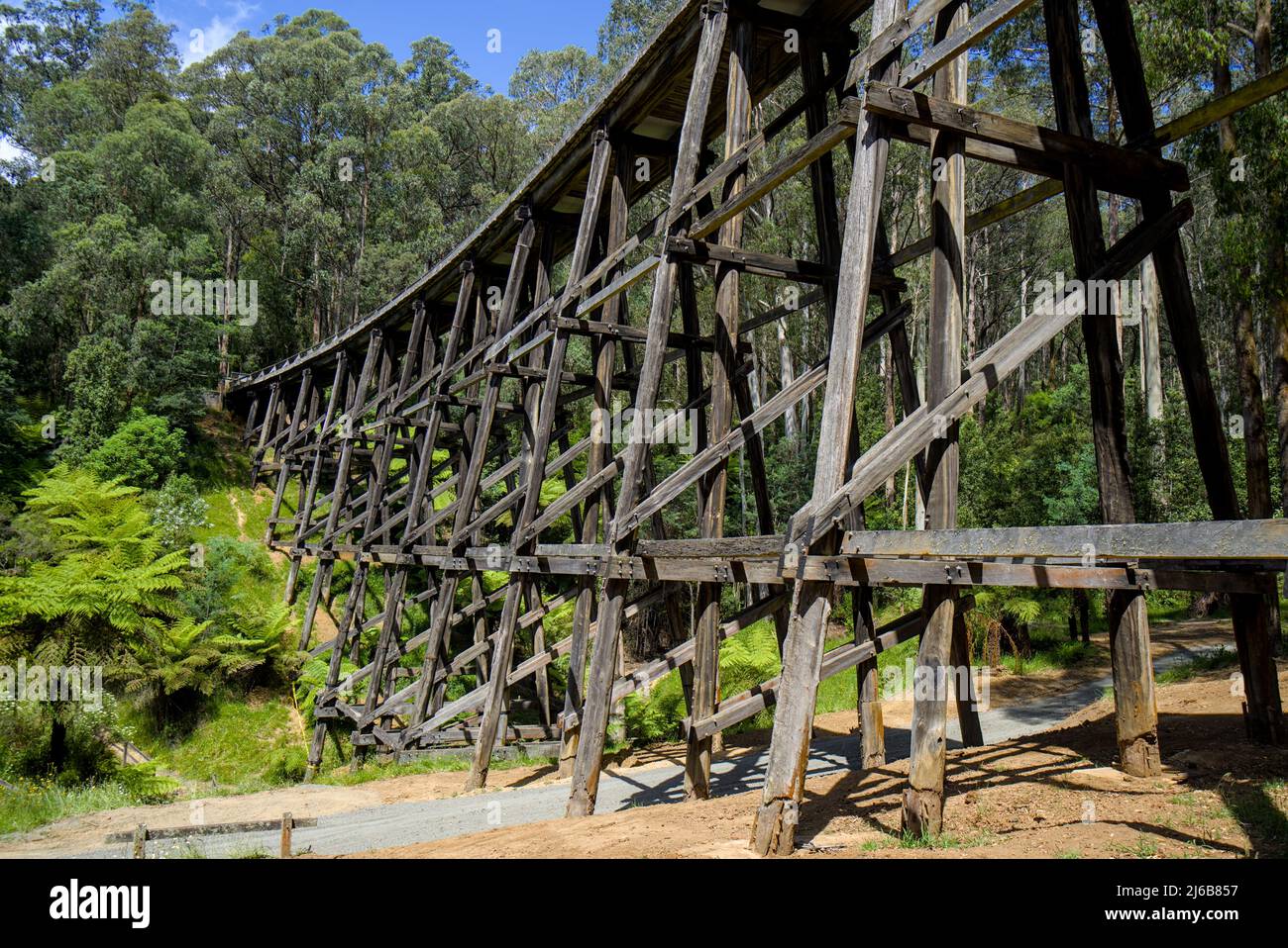 Noojee Wooden Trestle Bridge Stockfoto