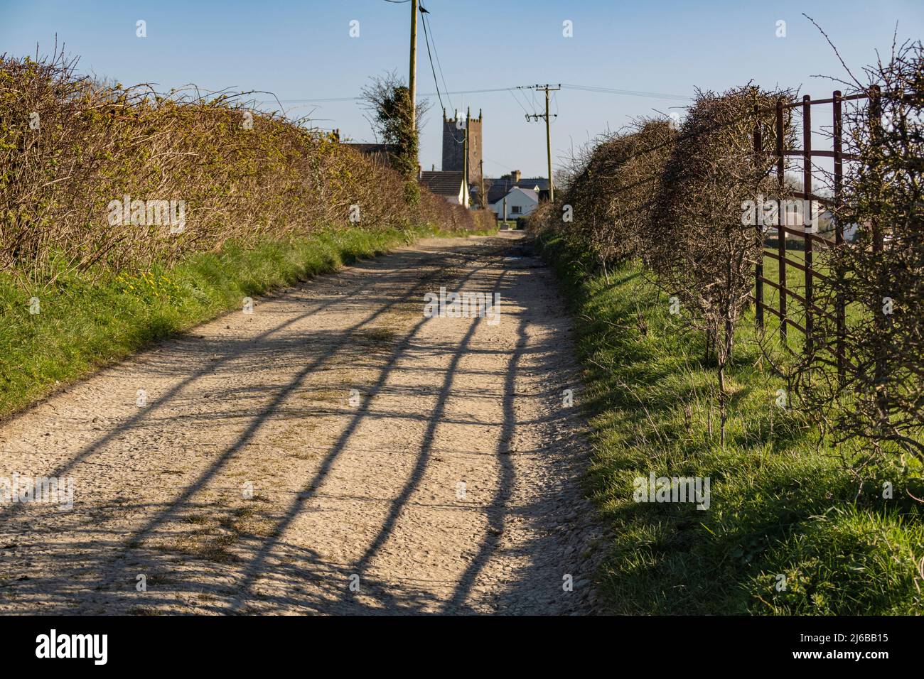Fence Shadows on a Country Lane in Saint Giles, in der Nähe von Great Torrington, Devon. Eisenzaun Detail und entferntes Kriegsdenkmal und Kirchturm. Stockfoto