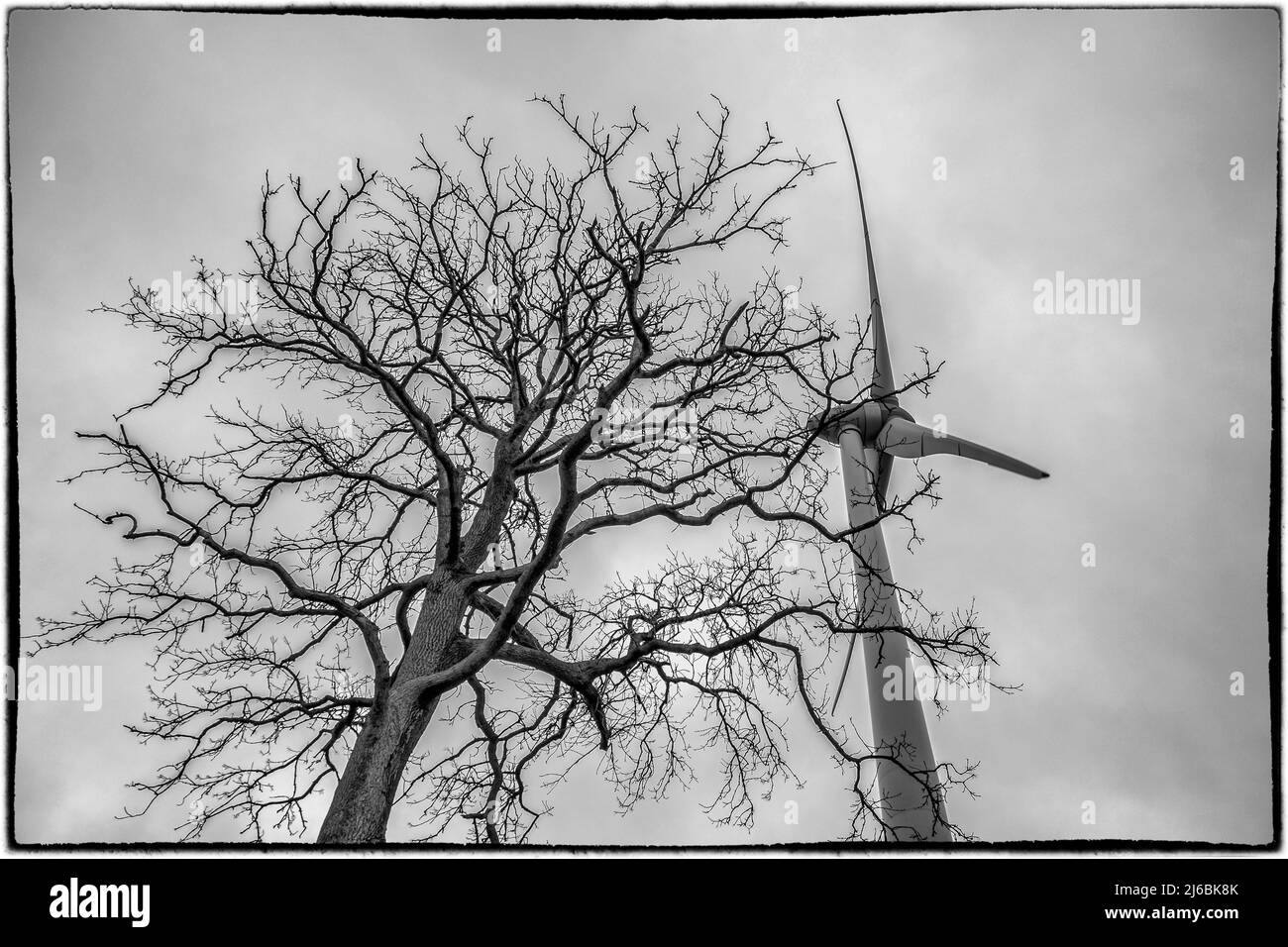 Eolienne dans les campagnes Wallones sous un ciel nuageux Windkraftanlage unter bewölktem Himmel Elektrizitätsnetz mit Windkraftanlage Reseau elektrique Stockfoto