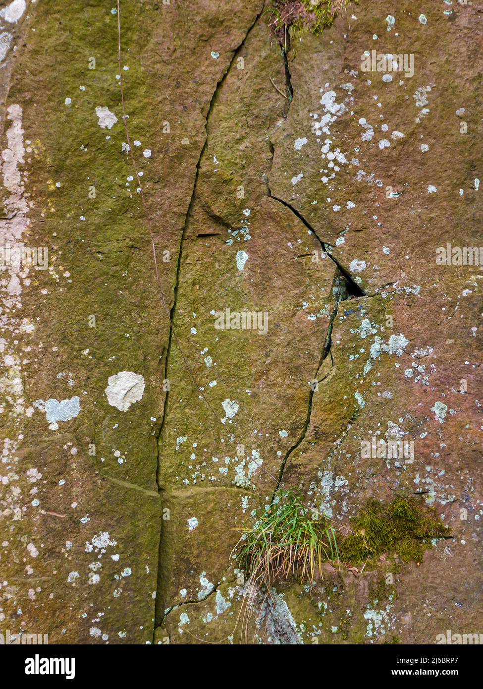 Nahaufnahme von verwittertem Sandsteinfelsen mit Moosen, Flechten und Felsspalten Stockfoto