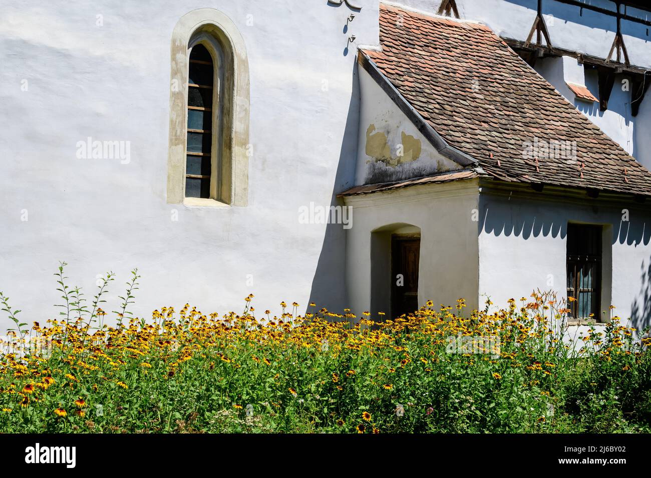 Altes Gebäude der Heiligen Peter und Paul Wehrkirche (Biserica Sfintii Apostoli Petru și Pavel) im Dorf Cincosr, in der Nähe von Fagaras in Siebenbürgen (TR Stockfoto