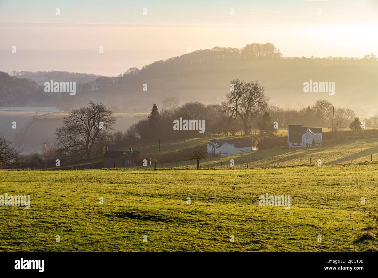 Winter im Wald von Dean - am frühen Morgen Licht auf Hütten unter Littledean Hill, Littledean, Gloucestershire, England Großbritannien Stockfoto