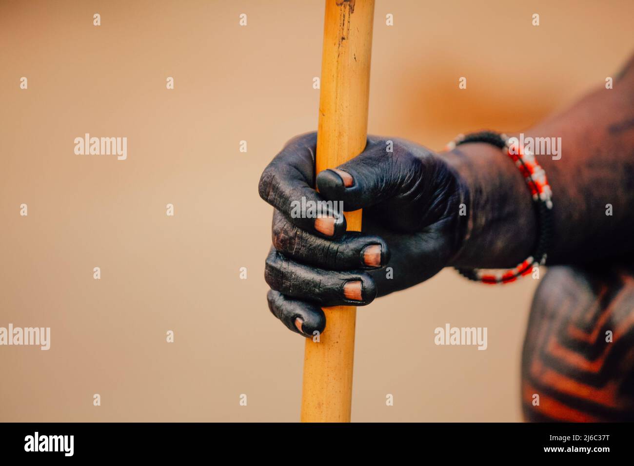 Hand eines brasilianischen Amazonas-indianers mit einem Stock. Stammeshäuptling. Stockfoto