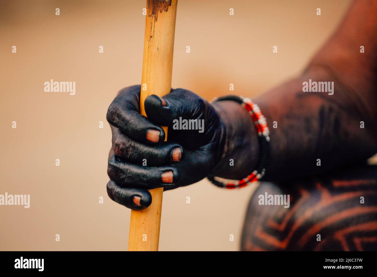 Hand eines brasilianischen Amazonas-indianers mit einem Stock. Stammeshäuptling. Stockfoto