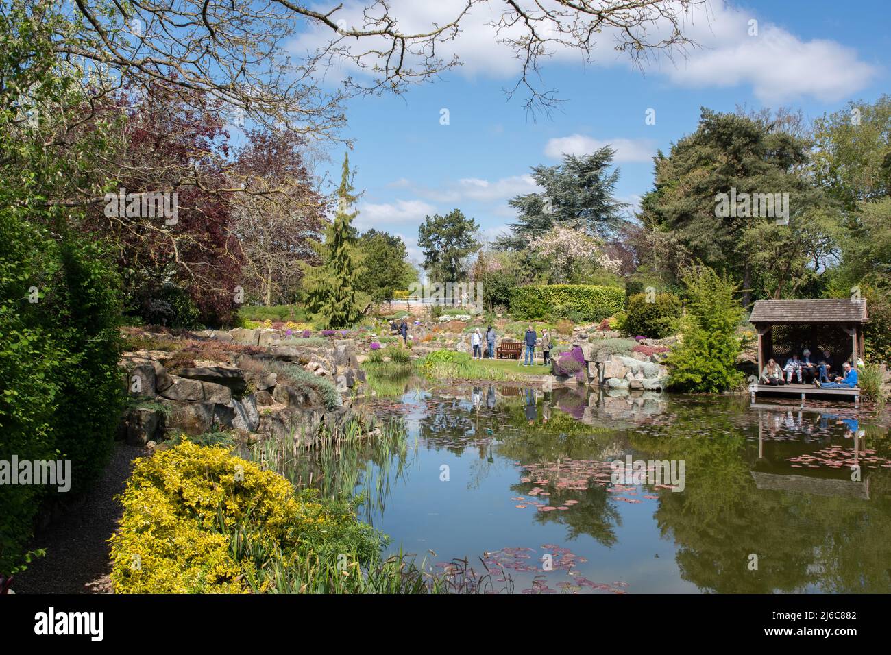 Burnby Hall Gardens Stockfoto