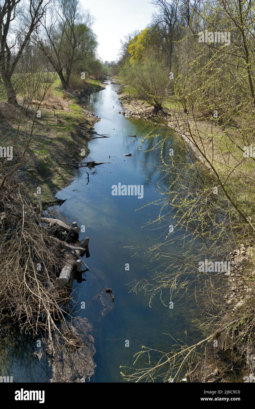 Alte Rhein- und Auenwälder im Frühjahr bei Leopoldshafen, Deutschland Stockfoto