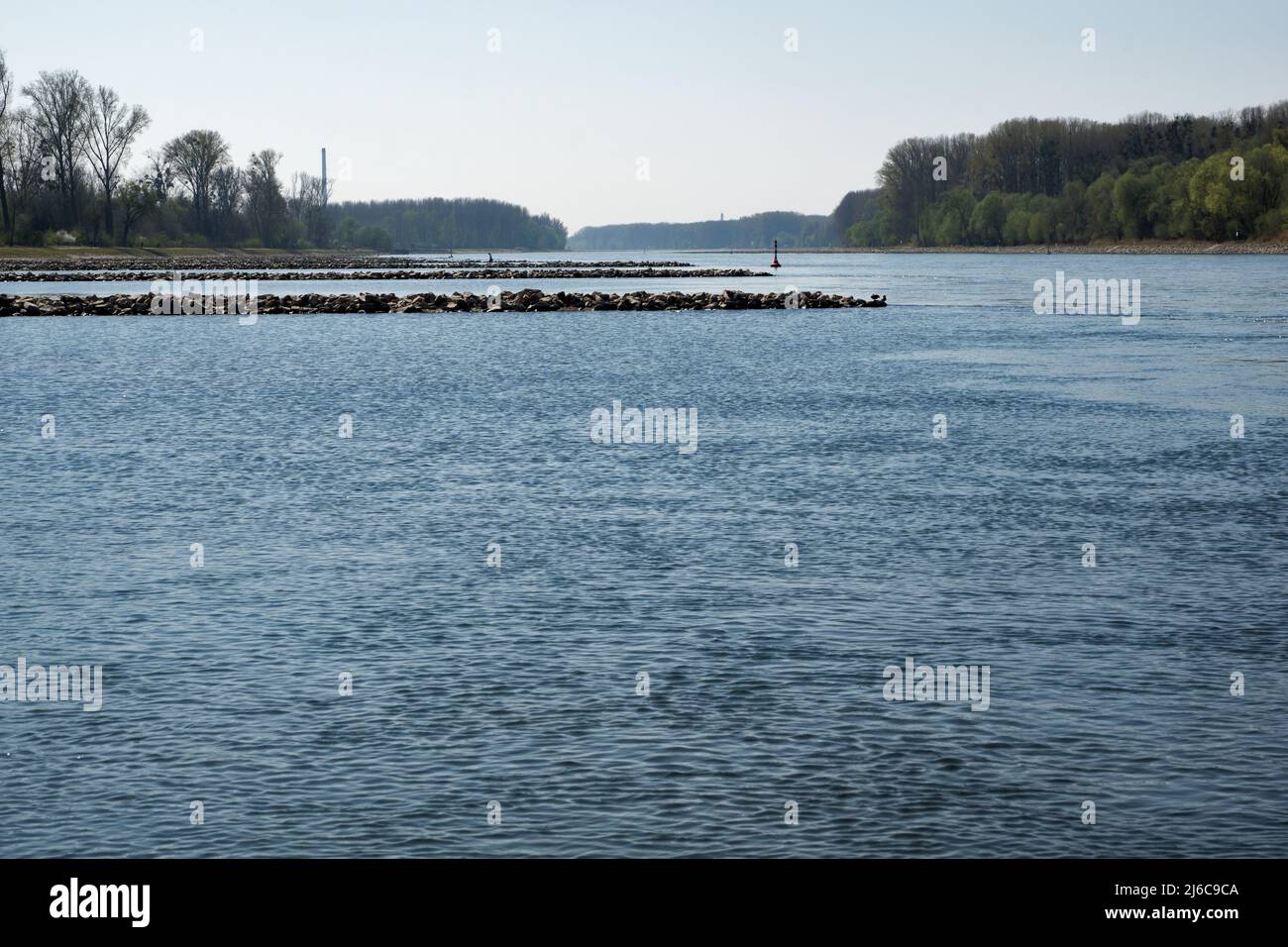 Rhein- und Auenwälder im Frühjahr bei Leopoldshafen, Deutschland Stockfoto