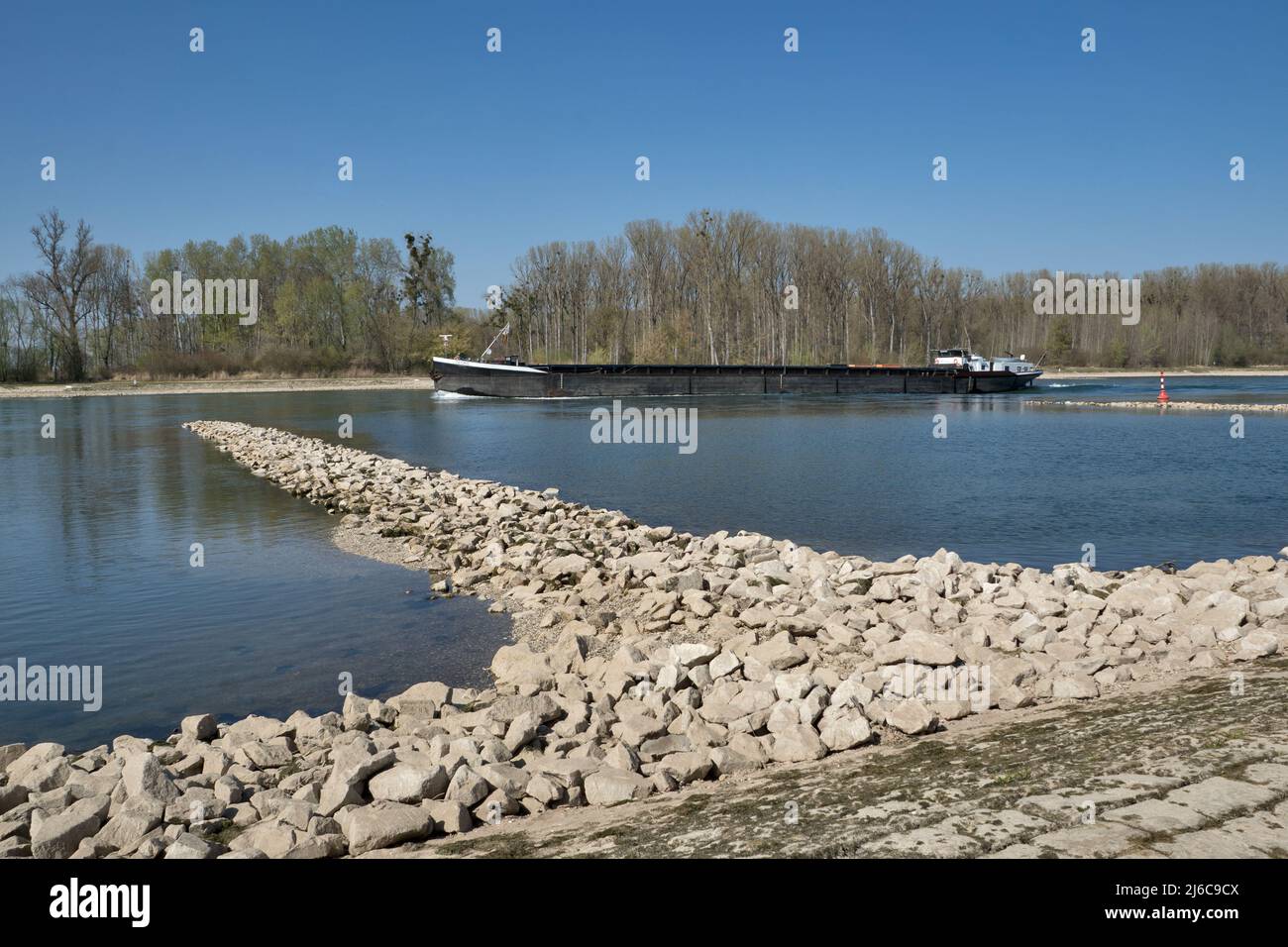 Schiff auf dem Rhein im Frühjahr, bei Leopoldshafen, Deutschland Stockfoto