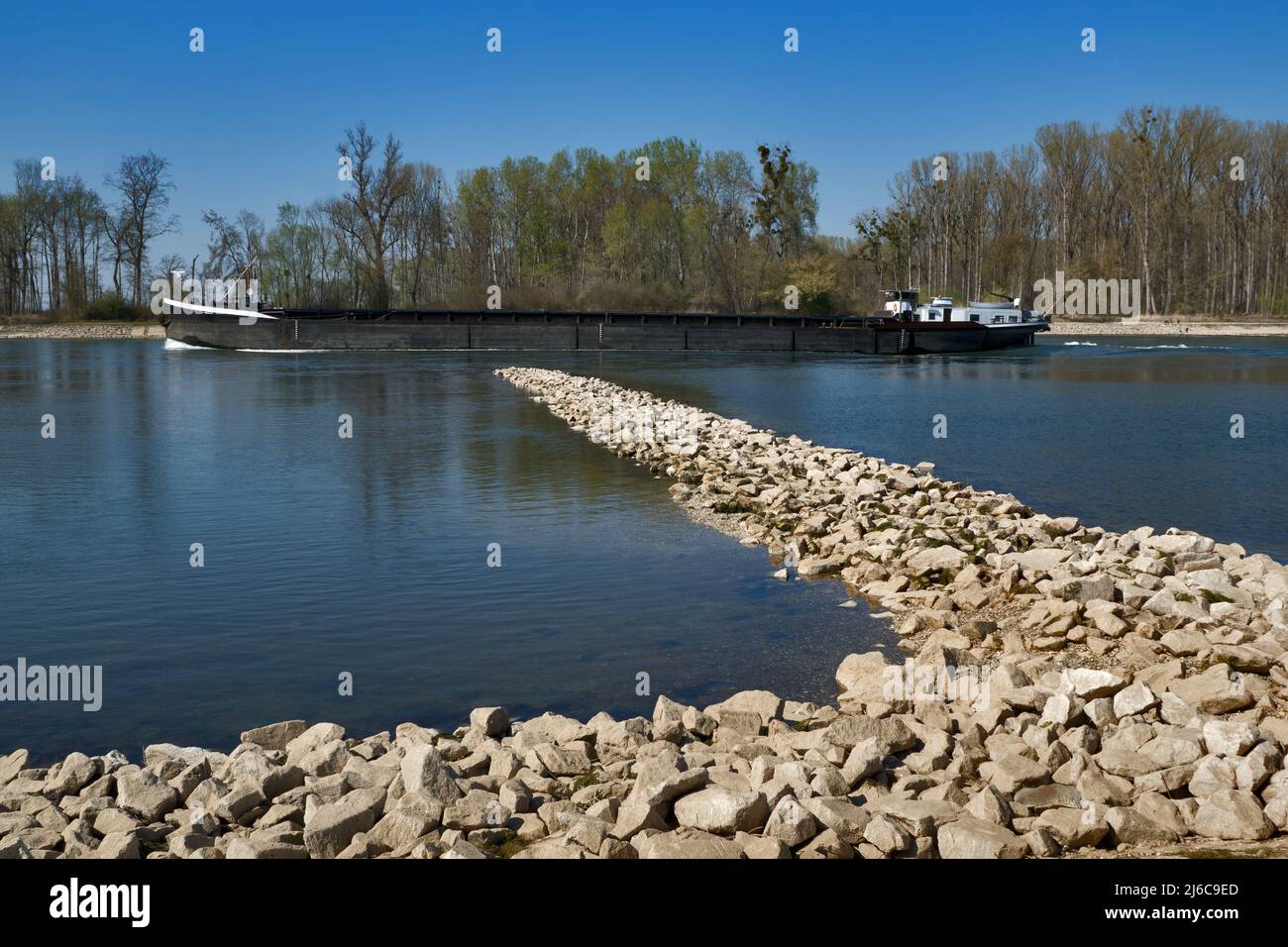 Schiff auf dem Rhein im Frühjahr, bei Leopoldshafen, Deutschland Stockfoto