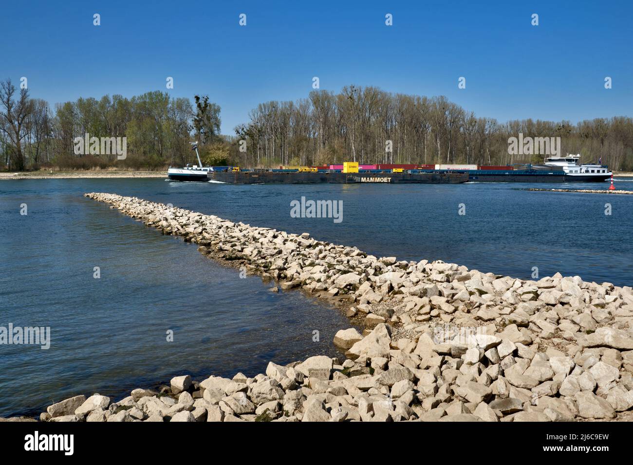 Schiff auf dem Rhein im Frühjahr, bei Leopoldshafen, Deutschland Stockfoto