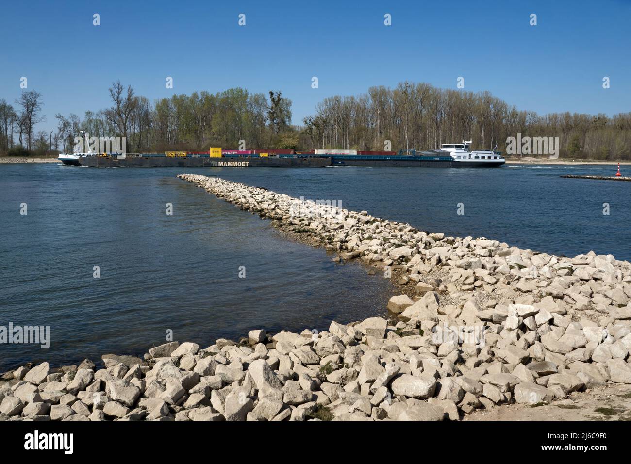 Schiff auf dem Rhein im Frühjahr, bei Leopoldshafen, Deutschland Stockfoto