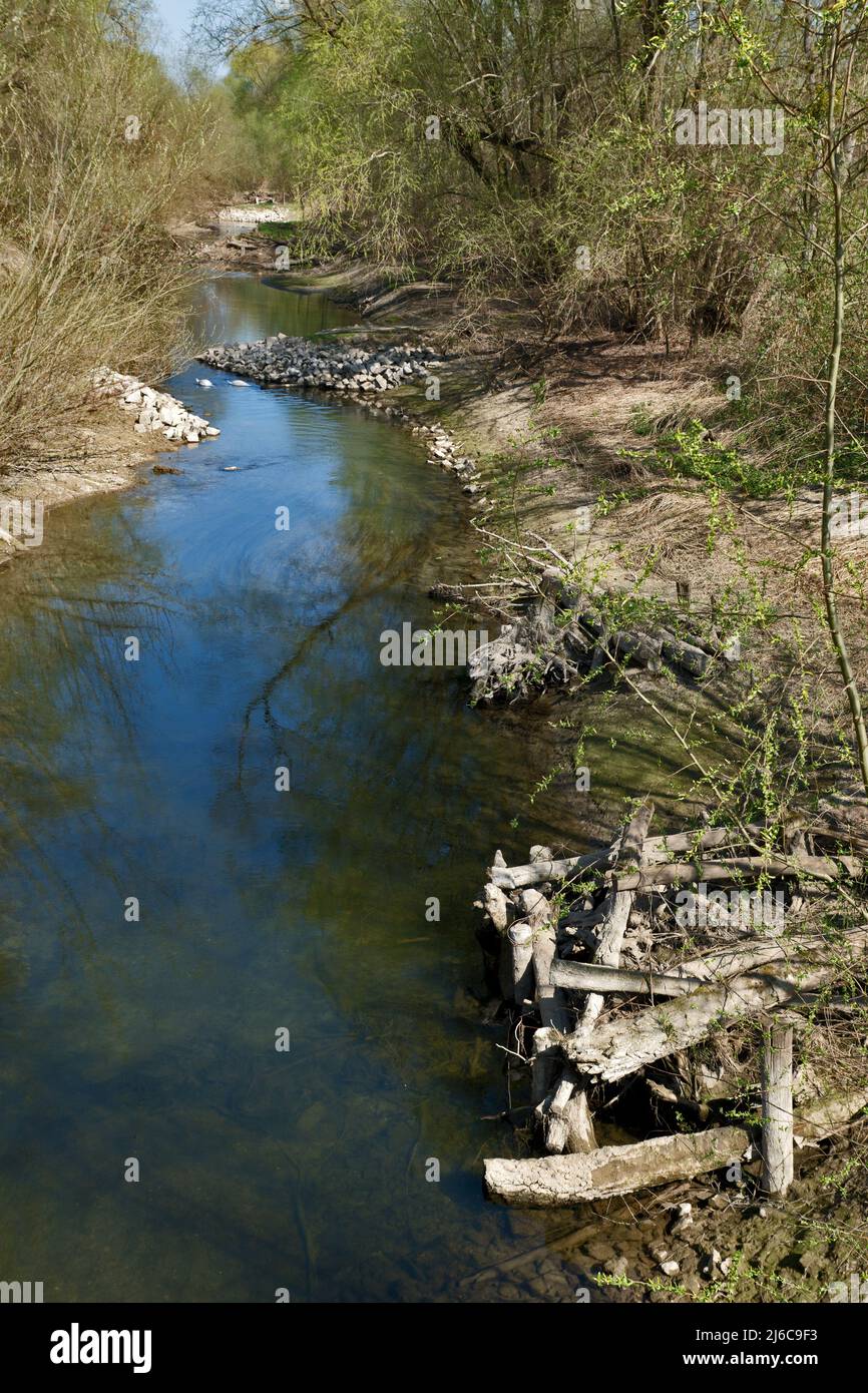 Alte Rhein- und Auenwälder im Frühjahr bei Leopoldshafen, Deutschland Stockfoto