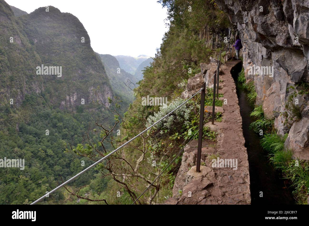 Ein Levada (Bewässerungskanal) und ein enger Pfad auf einem sehr steilen Berghang in Madeira, Portugal. Stockfoto