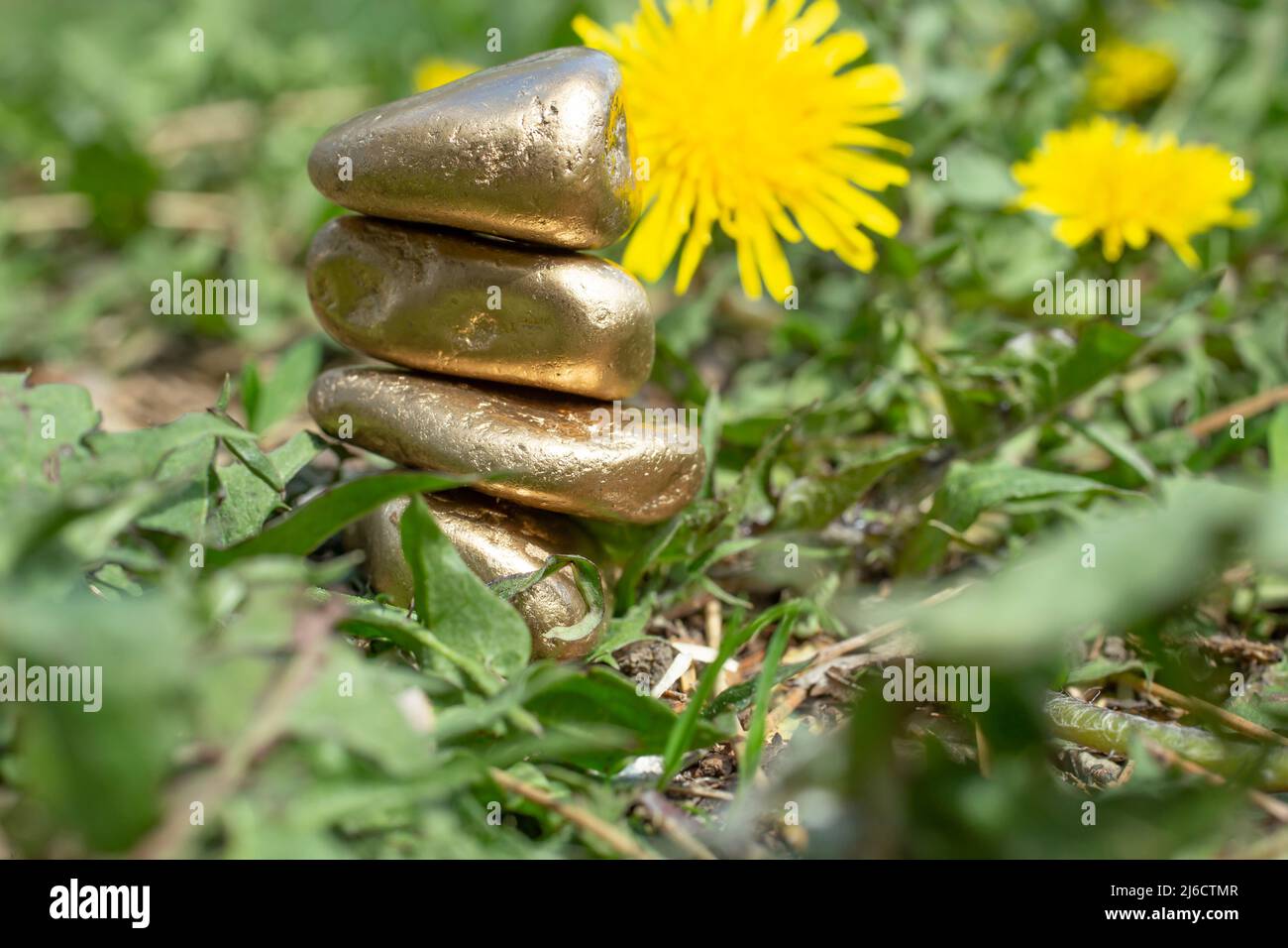 Goldene Zen-Steine stapeln sich zwischen grünem Gras und Dornen-Blüten, geringe Schärfentiefe, ungewöhnliches Zen-Garten-diy-Konzept. Stockfoto