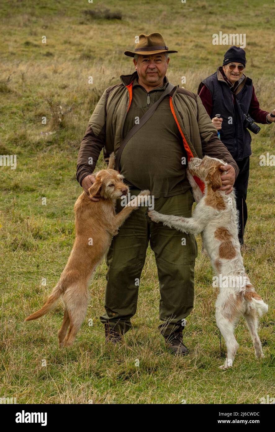 Rumänischer Trüffeljäger und seine Hunde im Herbst in alten Wäldern, in der Nähe von Archita, Sachsen-Siebenbürgen. Rumänien. Stockfoto