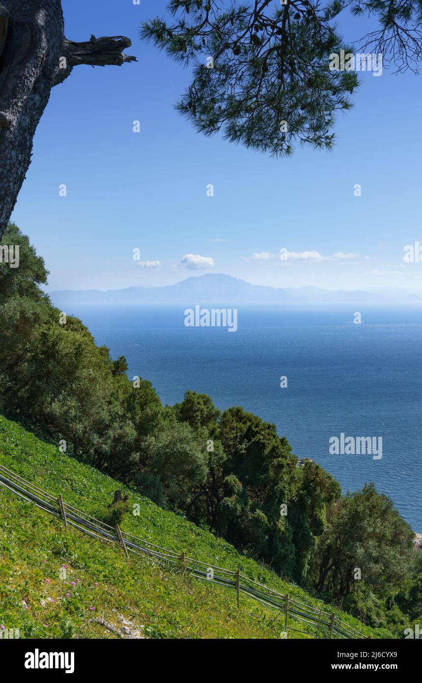 Afrika - von Gibraltar aus gesehen Stockfoto