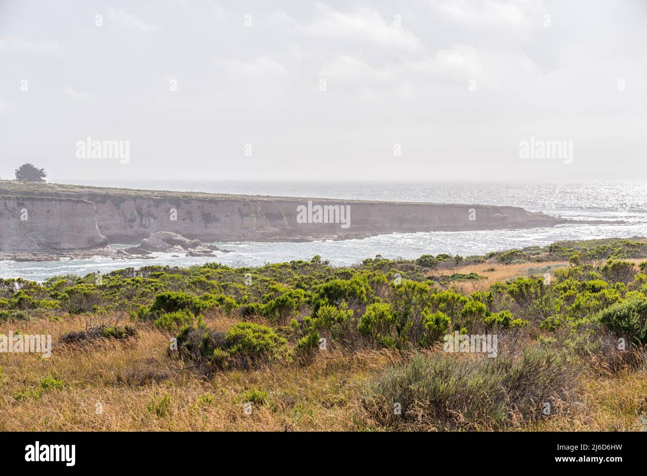 Montaña de Oro State Park im April. Morro Bay, Kalifornien, USA. Stockfoto