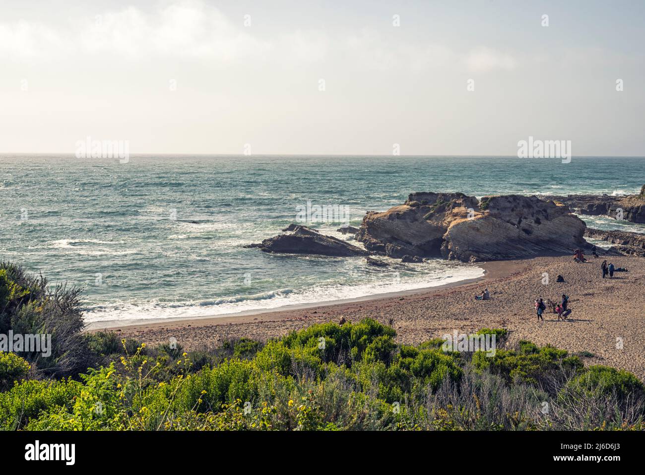 Montaña de Oro State Park im April. Morro Bay, Kalifornien, USA. Blick auf Spooner's Cove. Stockfoto