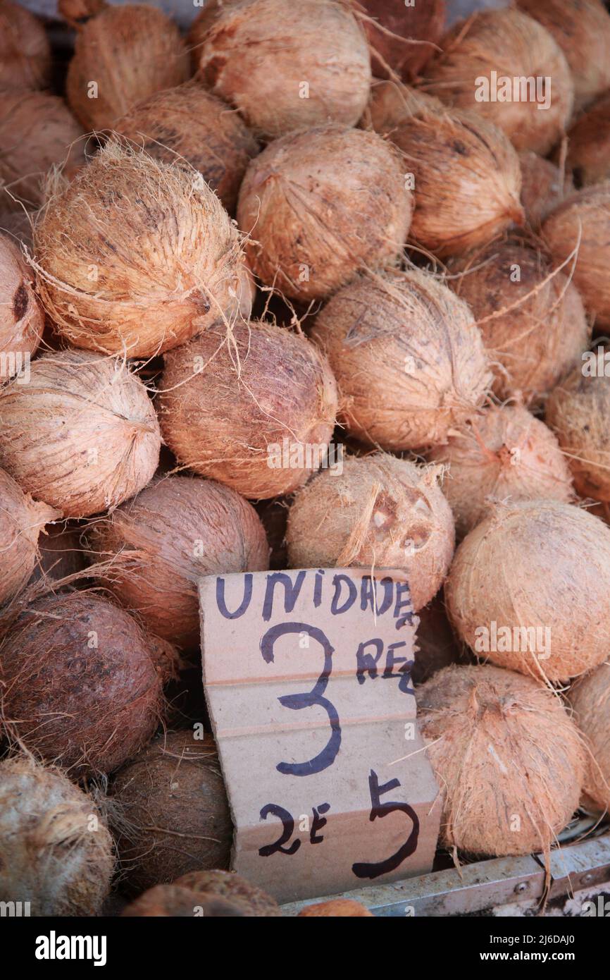 salvador, bahia, brasilien - 30. april 2022: Trockene Kokosnuss zum Verkauf auf der Messe Sao Joaquim in der Stadt Salvador. Stockfoto