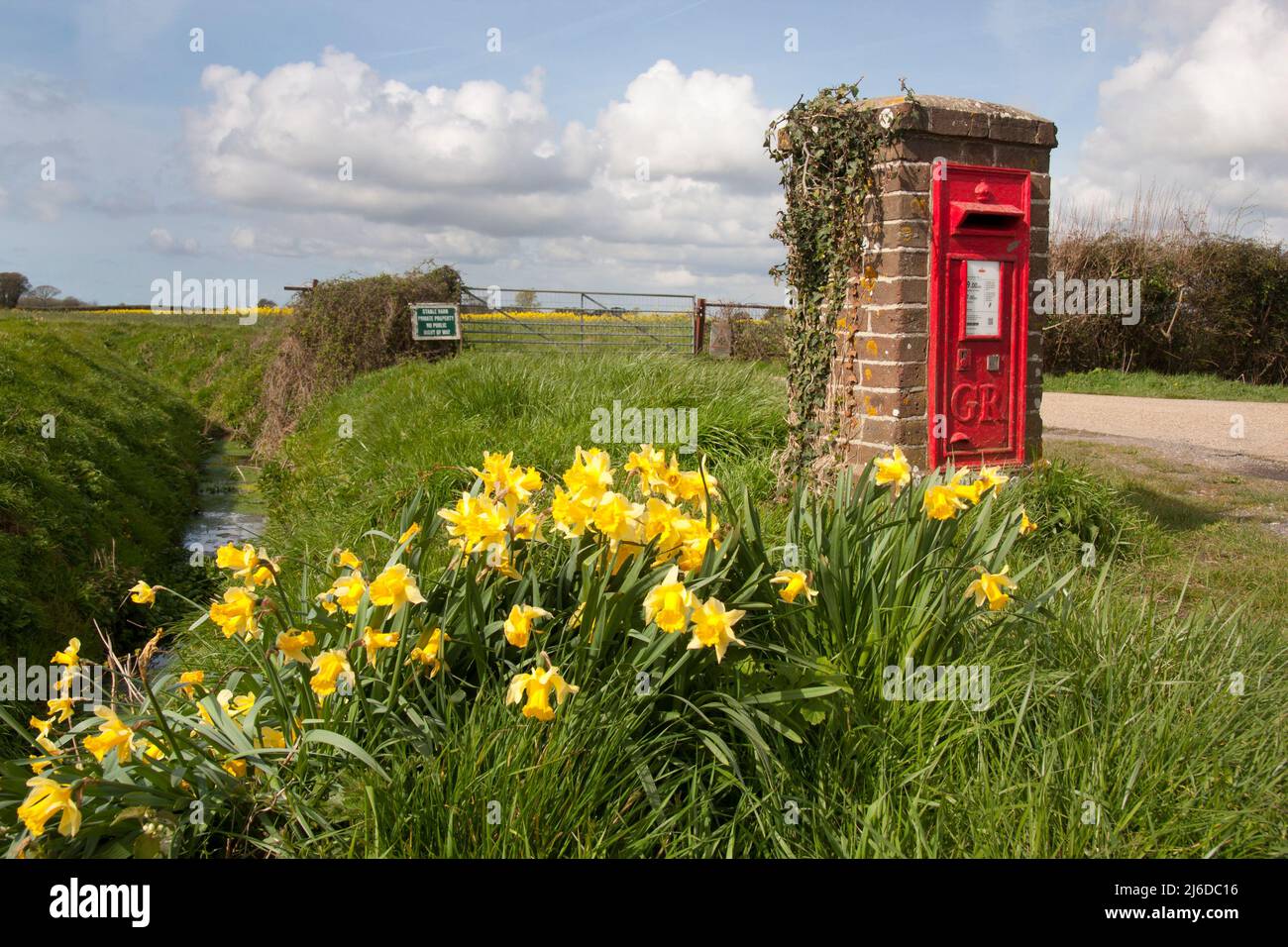 Georgischer Postkasten im Frühling [BN17 1426D] auf der Straße zwischen Barnham & Yapton, West Sussex Stockfoto