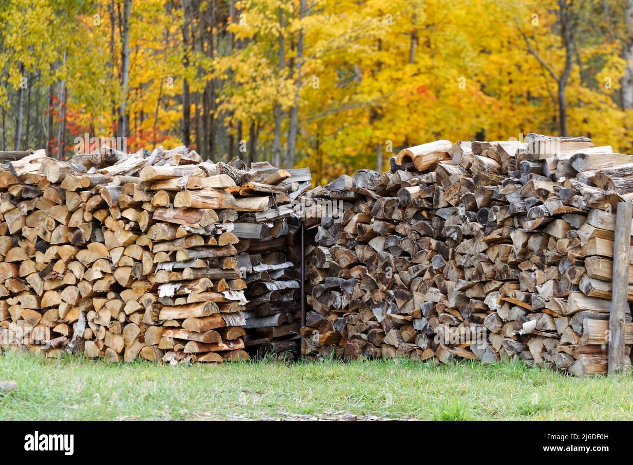 Schnur aus Brennholz. Quebec, Kanada Stockfoto