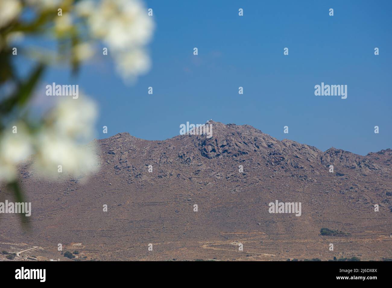 Die kargen vulkanischen Berge der Insel Tinos. Vulkanisches Gestein schuf die Berge. Weiße Blütenblätter im Vordergrund nicht fokussiert. Tinos i. Stockfoto