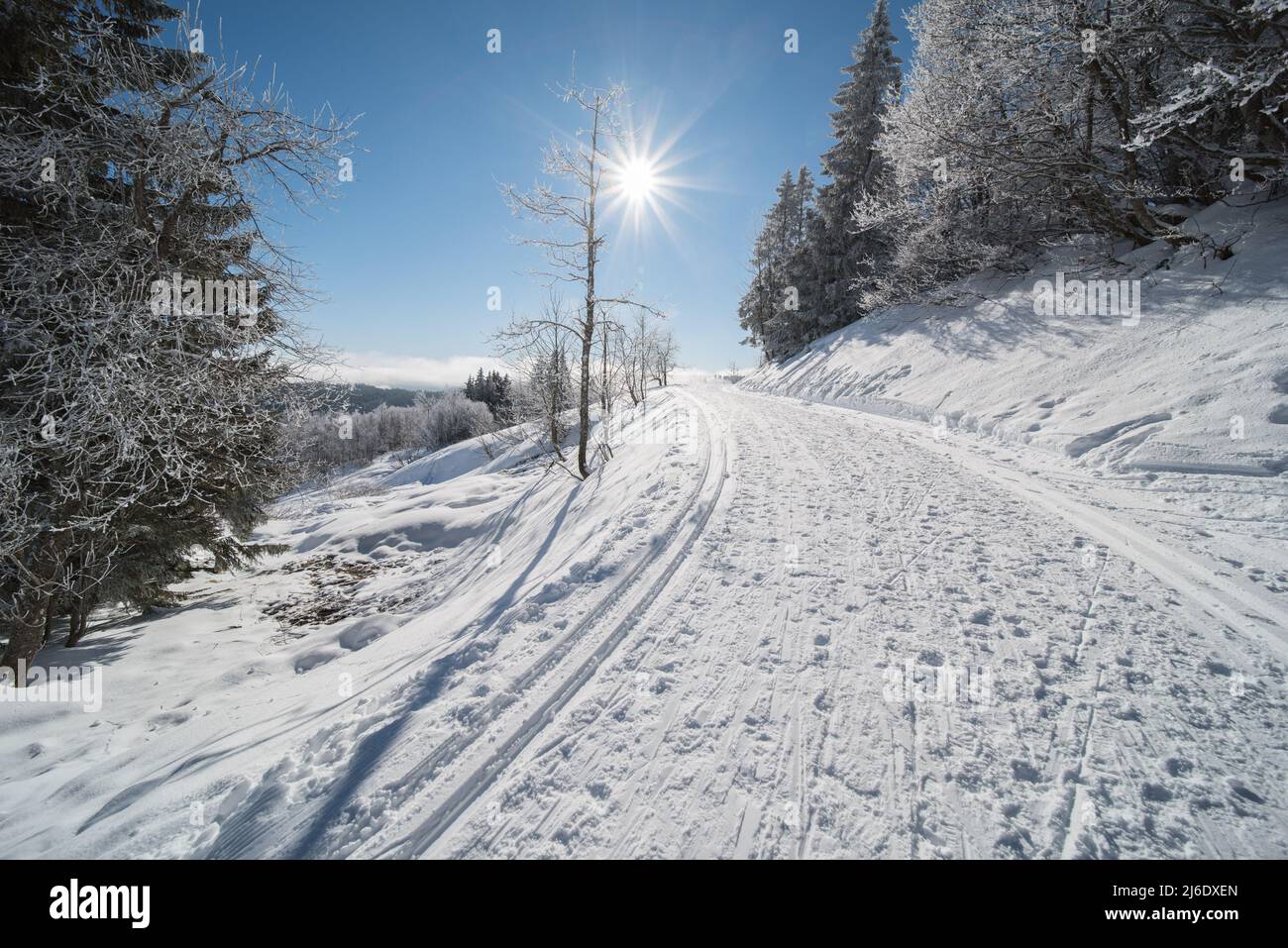 Winterlandschaft am feldberg (1493m) in süddeutschland. Stockfoto