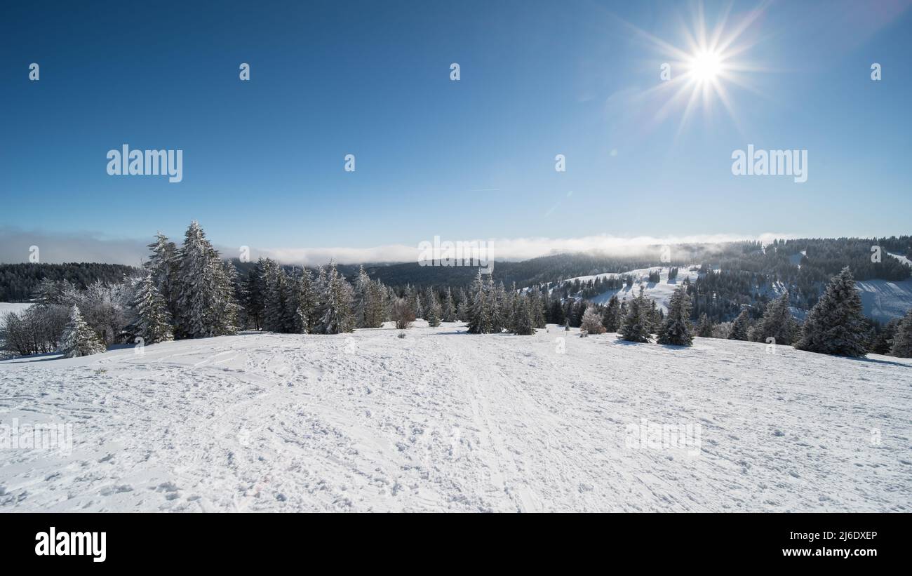 Winterlandschaft am feldberg (1493m) in süddeutschland. Stockfoto