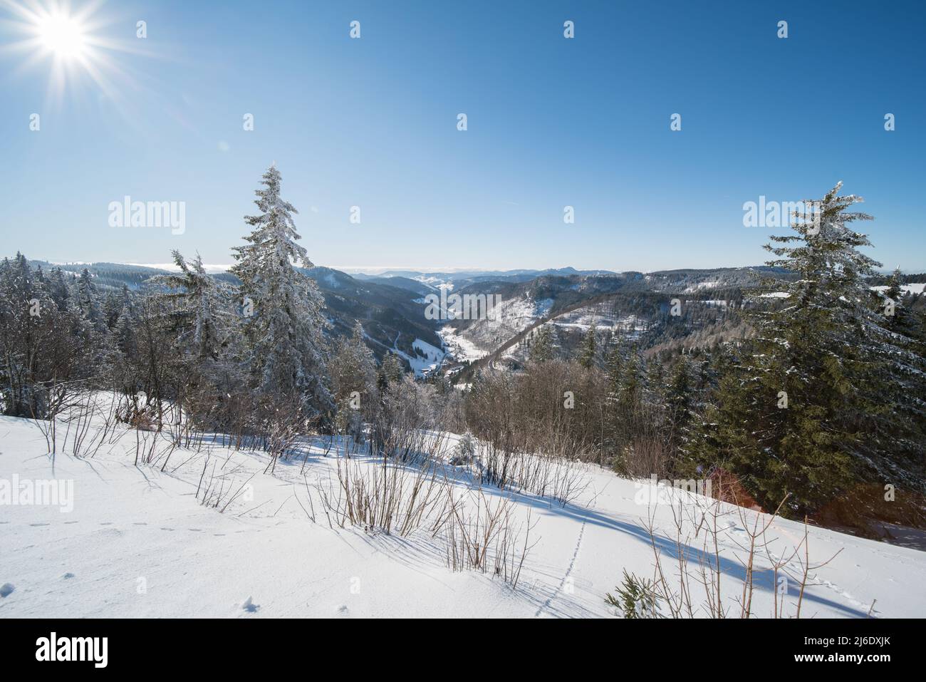 Winterlandschaft am feldberg (1493m) in süddeutschland. Stockfoto