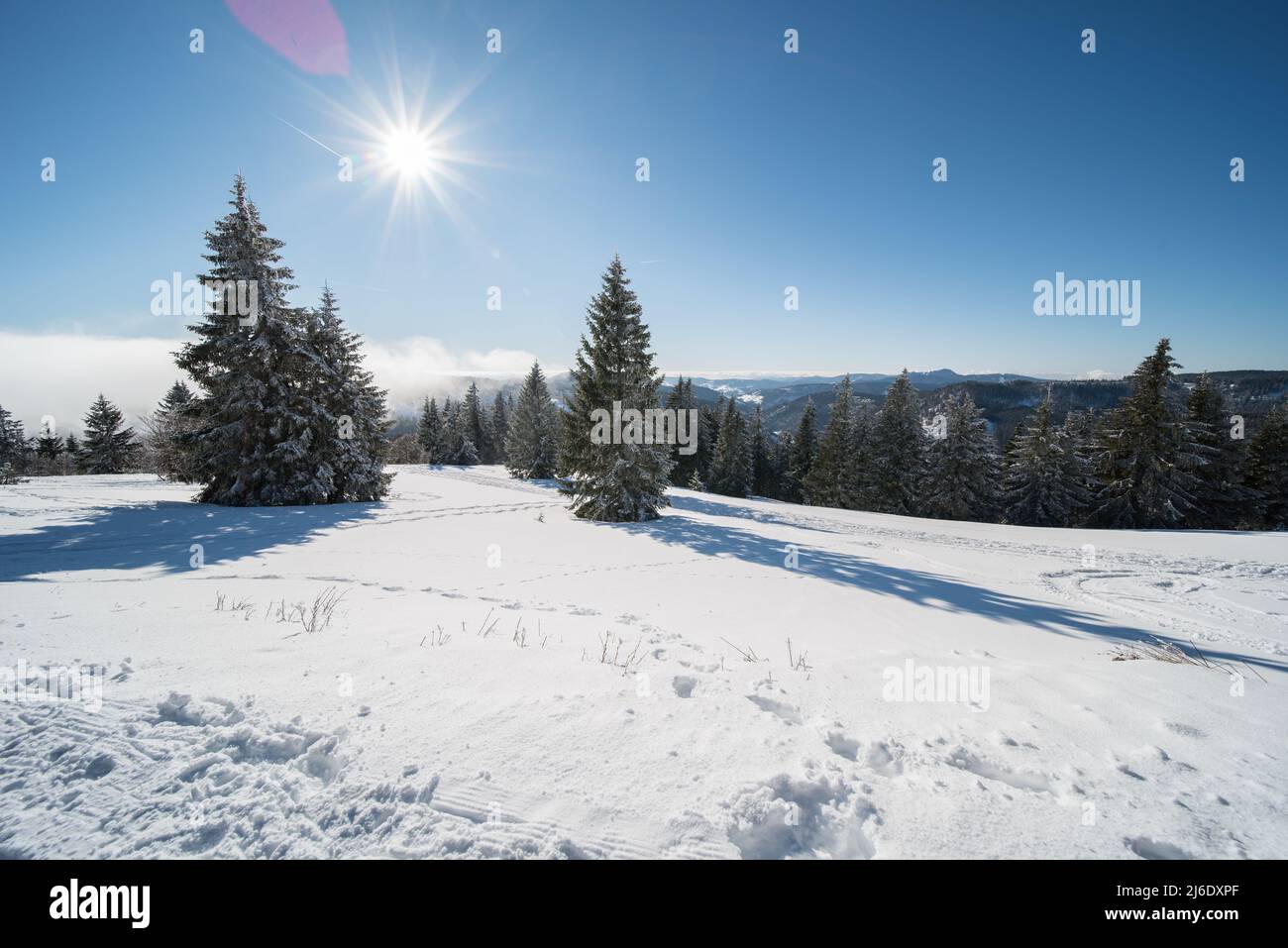 Winterlandschaft am feldberg (1493m) in süddeutschland. Stockfoto