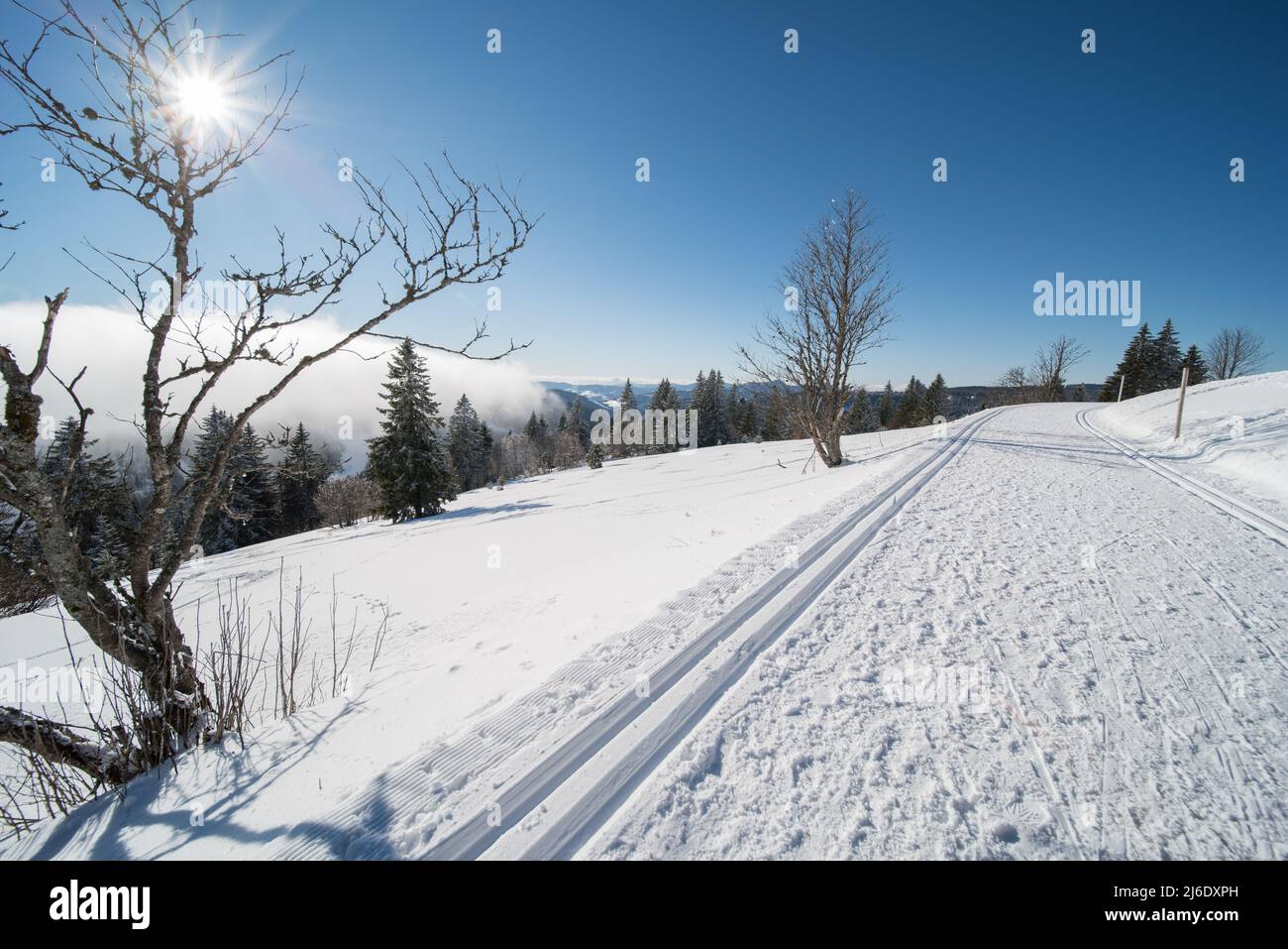 Winterlandschaft am feldberg (1493m) in süddeutschland. Stockfoto