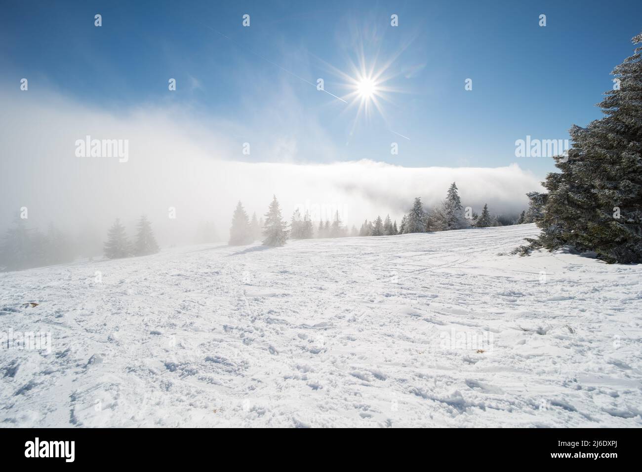 Winterlandschaft am feldberg (1493m) in süddeutschland. Stockfoto