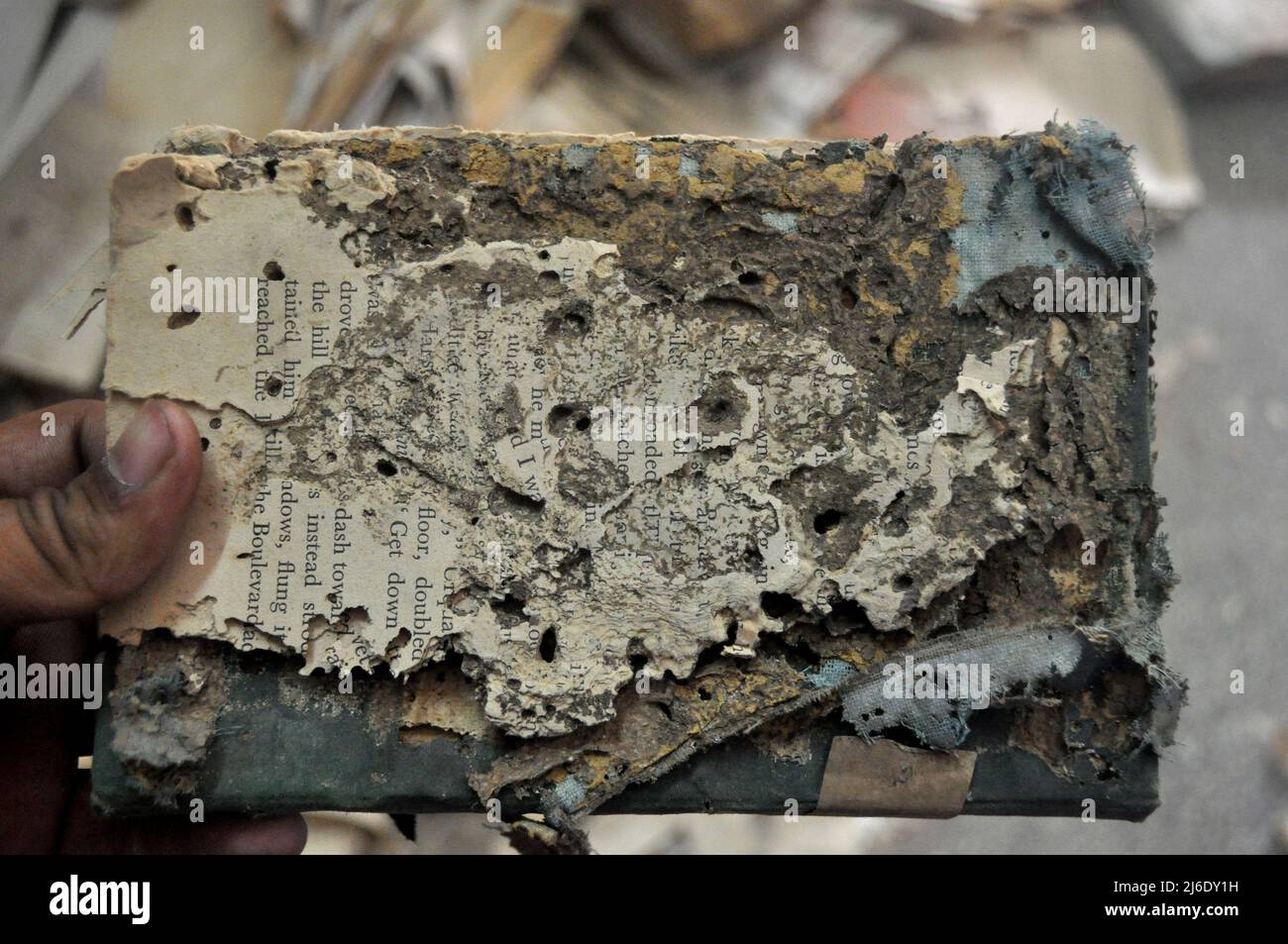 Buch schwer beschädigt durch Bücherwürmer in Karachi Bibliothek Stockfoto