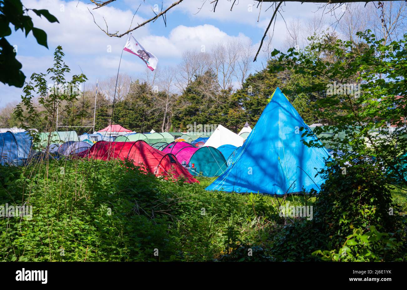 Mehrere kleine, verschiedenfarbige Zelte, die im Rahmen eines Campingausflugs oder einer Veranstaltung auf einem Feld aufgestellt werden. Stockfoto