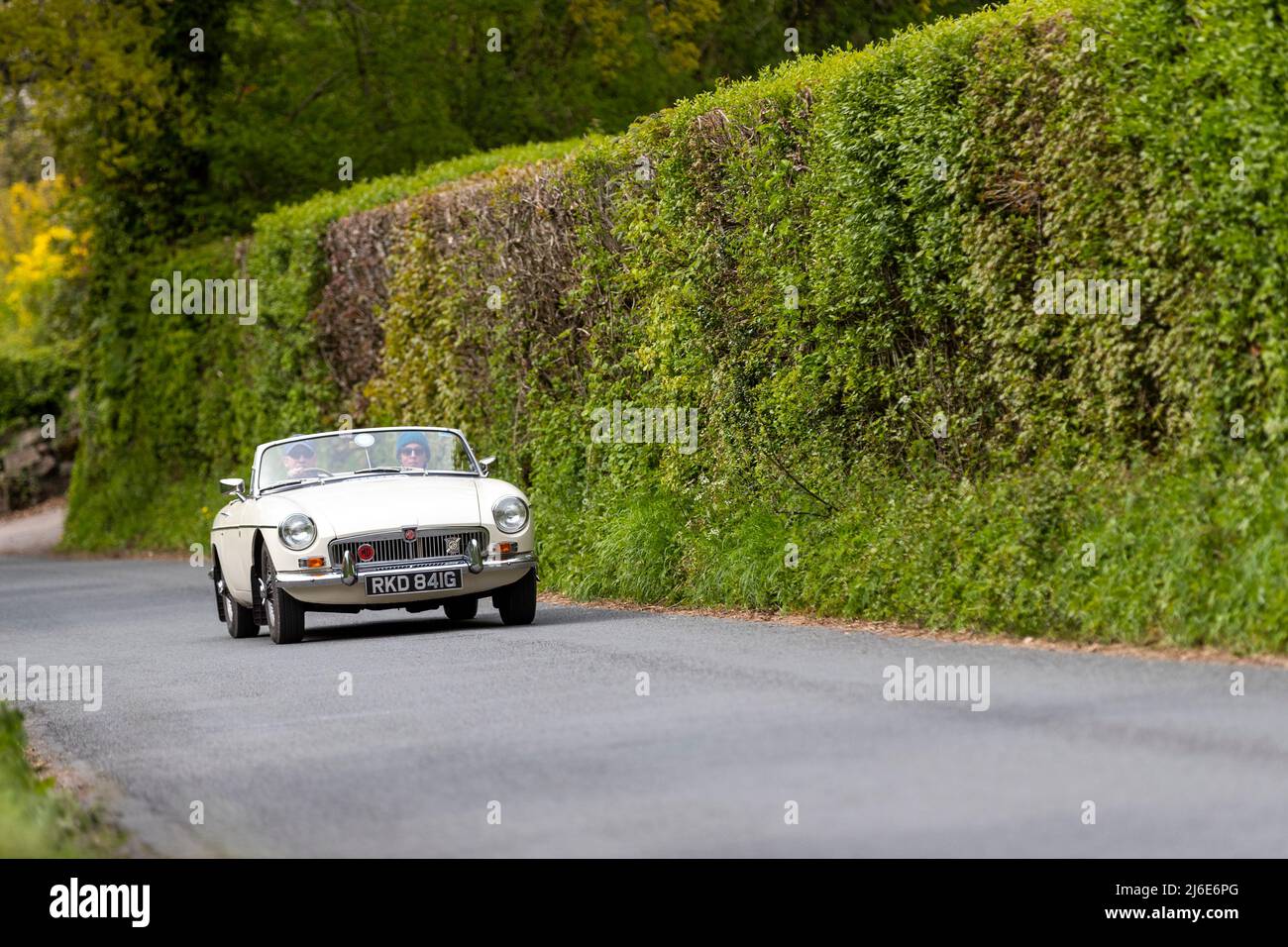 Verschiedene Marken, die an der Rotary Club-Wohltätigkeitsorganisation „Wye Run“ des Oldtimer-Frühlings teilnehmen, fahren durch Wales und das Wye Valley. Stockfoto