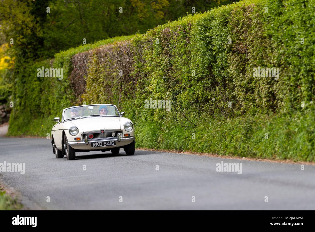 Verschiedene Marken, die an der Rotary Club-Wohltätigkeitsorganisation „Wye Run“ des Oldtimer-Frühlings teilnehmen, fahren durch Wales und das Wye Valley. Stockfoto
