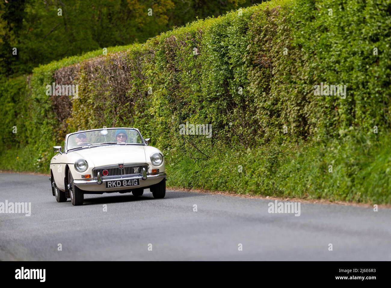 Verschiedene Marken, die an der Rotary Club-Wohltätigkeitsorganisation „Wye Run“ des Oldtimer-Frühlings teilnehmen, fahren durch Wales und das Wye Valley. Stockfoto