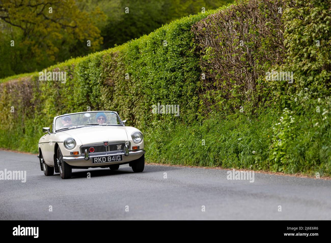 Verschiedene Marken, die an der Rotary Club-Wohltätigkeitsorganisation „Wye Run“ des Oldtimer-Frühlings teilnehmen, fahren durch Wales und das Wye Valley. Stockfoto