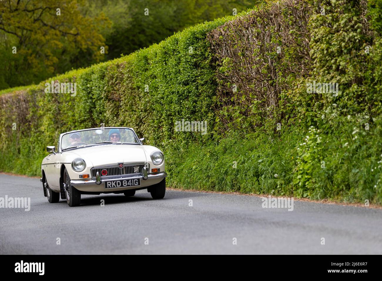Verschiedene Marken, die an der Rotary Club-Wohltätigkeitsorganisation „Wye Run“ des Oldtimer-Frühlings teilnehmen, fahren durch Wales und das Wye Valley. Stockfoto