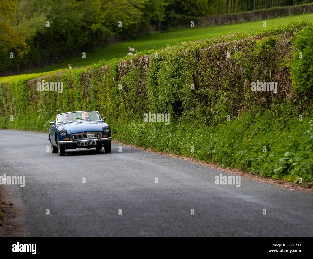 Verschiedene Marken, die an der Rotary Club-Wohltätigkeitsorganisation „Wye Run“ des Oldtimer-Frühlings teilnehmen, fahren durch Wales und das Wye Valley. Stockfoto