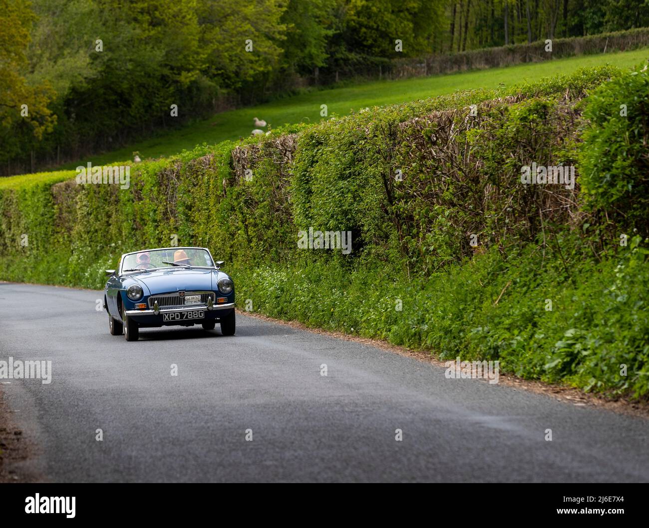 Verschiedene Marken, die an der Rotary Club-Wohltätigkeitsorganisation „Wye Run“ des Oldtimer-Frühlings teilnehmen, fahren durch Wales und das Wye Valley. Stockfoto