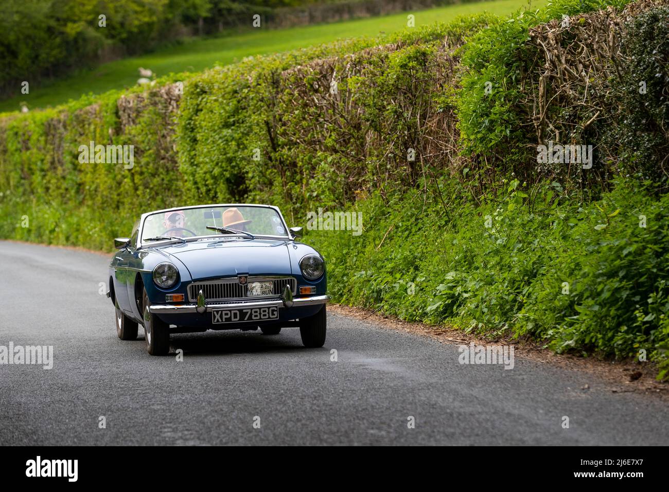Verschiedene Marken, die an der Rotary Club-Wohltätigkeitsorganisation „Wye Run“ des Oldtimer-Frühlings teilnehmen, fahren durch Wales und das Wye Valley. Stockfoto