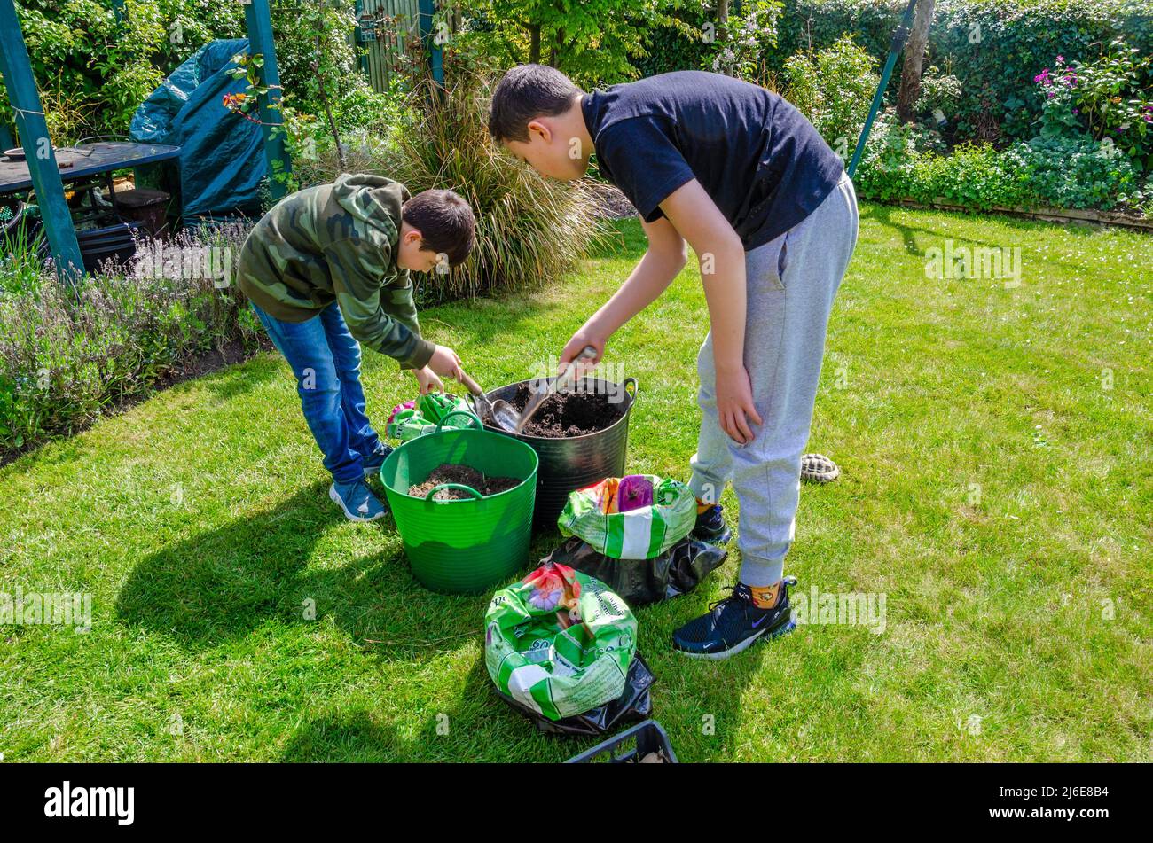 Ein paar Jungen bereiten alte Plastikkompostsäcke vor, die Kartoffeln darin anpflanzen. Stockfoto