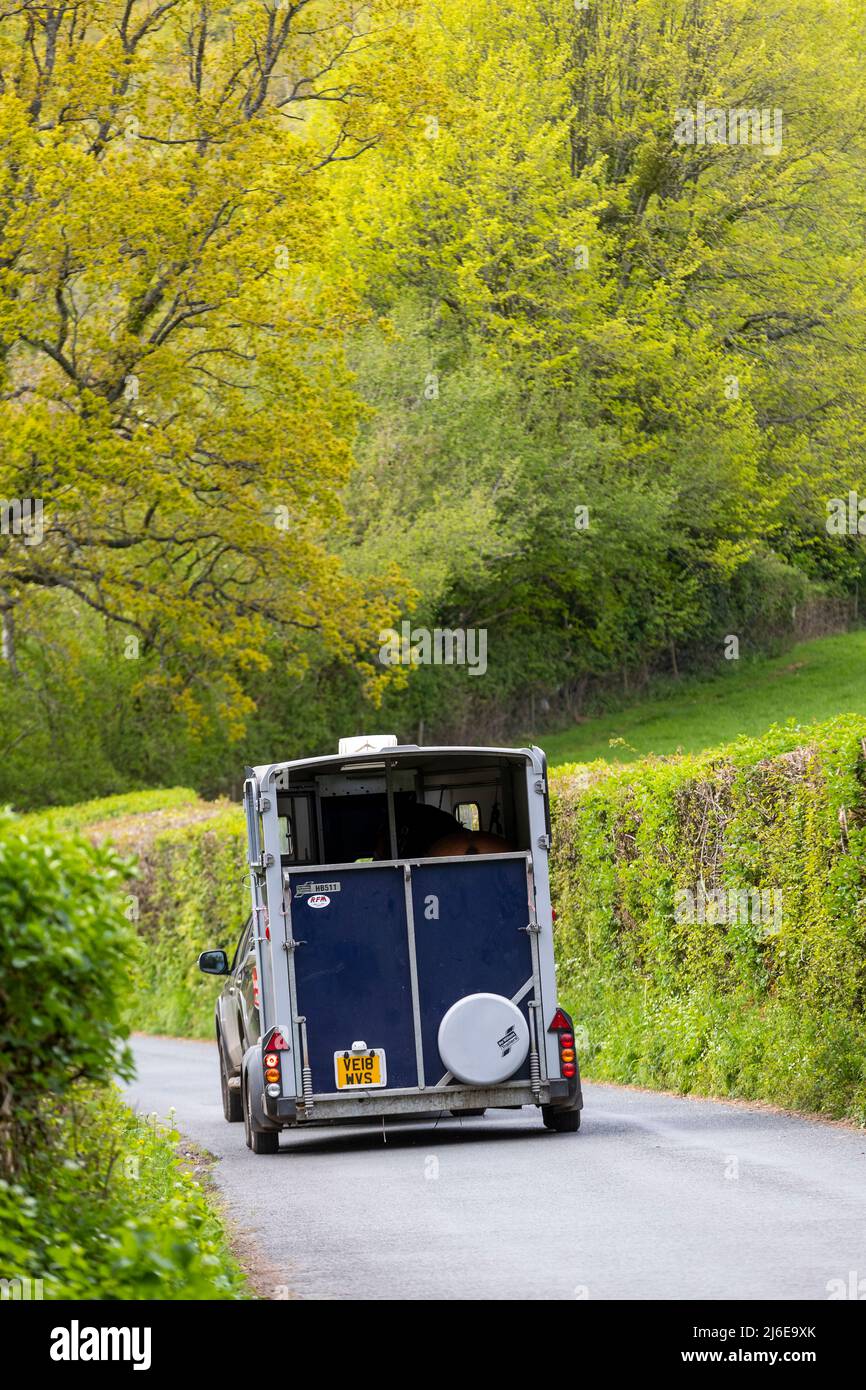 Pferdeanhänger durch Wales und das Wye Valley. Stockfoto