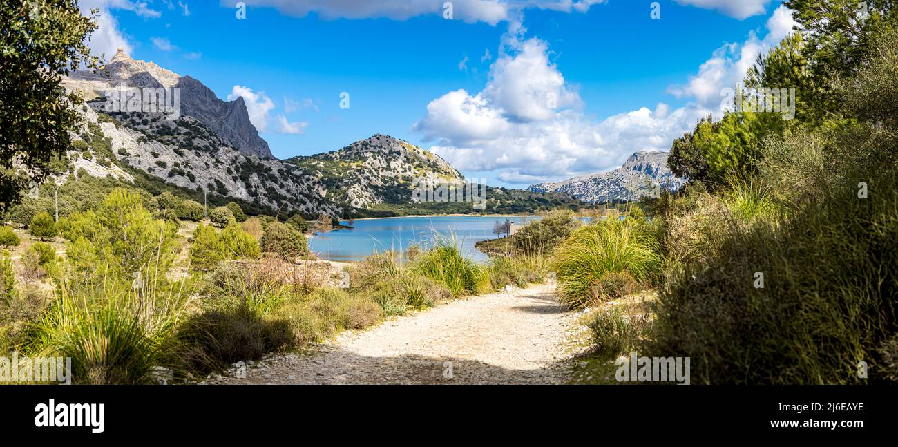 Panoramafotografie des idyllischen Stausees Embassament de Cúber am Fuße des höchsten Berges Puig Major auf Mallorcas mit Wanderweg gr221. Stockfoto